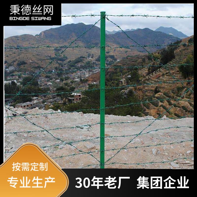 刺钢丝隔离栅图片2